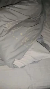 被喂饱的室友(H) - 海棠书房